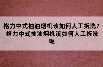 格力中式抽油烟机该如何人工拆洗？ 格力中式抽油烟机该如何人工拆洗呢